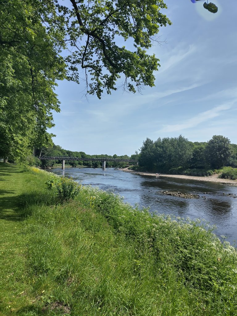 A calm river bordered by lush green vegetation on the left and a small sandy patch on the right. In the background, a bridge with two evenly spaced support poles rises above the water, framed by dense trees.