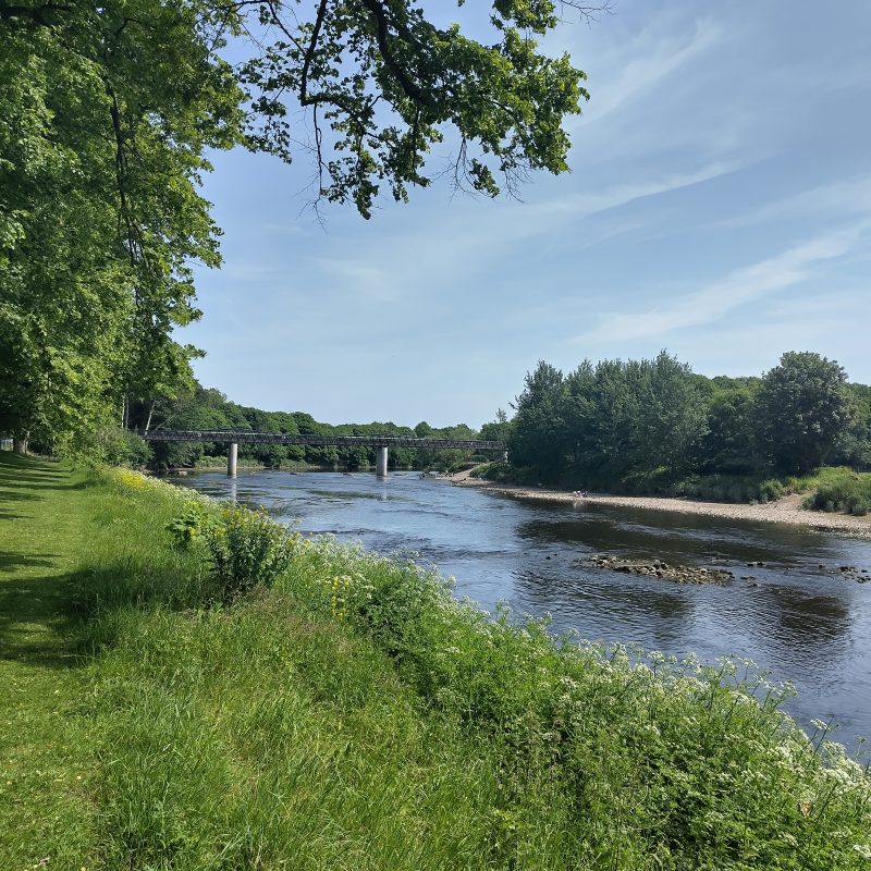 A calm river bordered by lush green vegetation on the left and a small sandy patch on the right. In the background, a bridge with two evenly spaced support poles rises above the water, framed by dense trees.