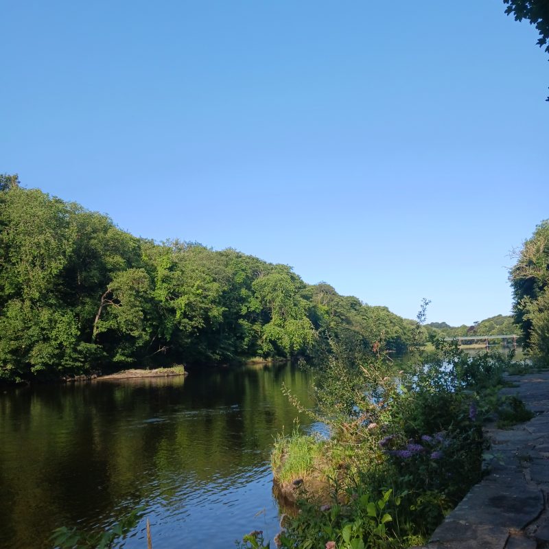 A picture of river going down a lush green area. On the riverbank closest to the walking path, there is lots of bright coloured flowers in bloom.
