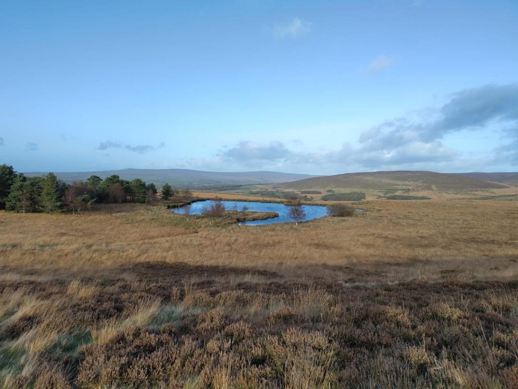 A picture of heathland with a small lake in the middle of the land.